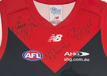 Load image into Gallery viewer, GARRY LYON, NEALE DANIHER &amp; BERNIE VINCE Signed Melbourne Jumper Display
