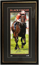 Load image into Gallery viewer, BLACK CAVIAR - Luke Nolen Signed Print Display
