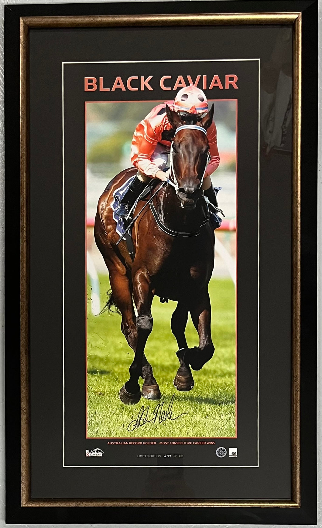 BLACK CAVIAR - Luke Nolen Signed Print Display