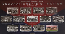 Load image into Gallery viewer, MELBOURNE FOOTBALL CLUB “Decorations of Distinction” Print &amp; Medals Display
