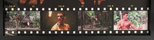 Load image into Gallery viewer, KICKBOXER - Jean Claude Van Damme Signed Trunks Display
