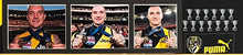 Load image into Gallery viewer, DUSTIN MARTIN “2020 Premiers” Signed Jumper &amp; Medals Display
