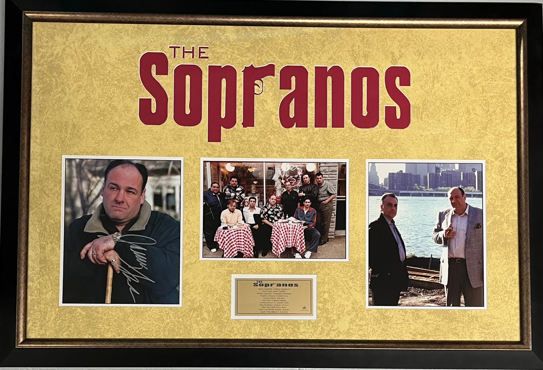 THE SOPRANOS - JAMES GANDOLFINI Signed Photo Display