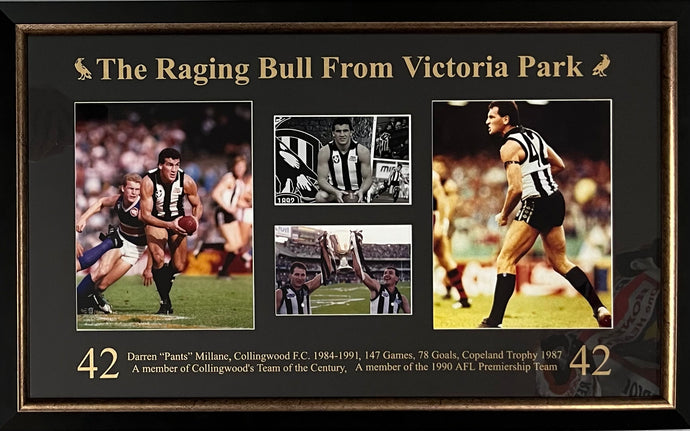 Collingwood AFL memorabilia Peter Daicos signed print