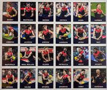 Load image into Gallery viewer, MELBOURNE DEMONS “2021 AFL Premiers” Official Team Signed Jumper Display
